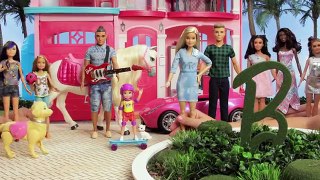 Un problema de Mascotas | Barbie LIVE! In The Dreamhouse | Barbie