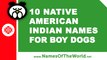 10 native american indian names for boy dogs - the best pet names - www.namesoftheworld.net