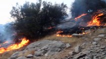 Mersin'de zeytinlik ve ormanlık alanda yangın