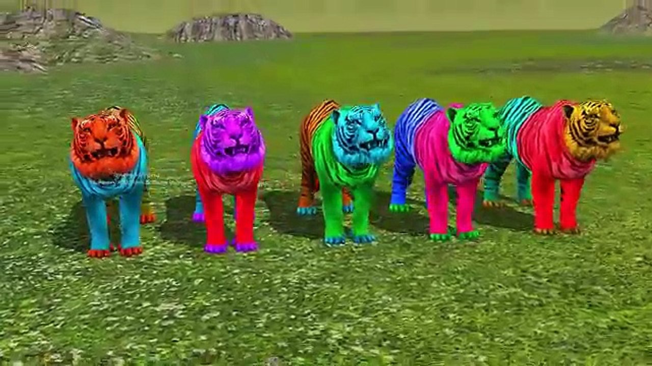 Tiger Finger Family Nursery Rhyme for Kids | Wild Cats Finger Family Songs For Babies | Tiger Songs