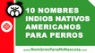 10 nombres indios nativos americanos para perros - mascotas - www.nombresparamimascota.com