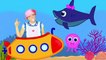 Baby Shark | Kids Songs | Nursery Rhymes for Children, Toddlers and Baby