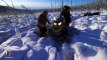 Great Wild North S01 - Ep02 Rough Country HD Watch