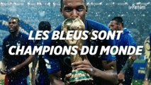 Champions du monde, les Bleus célèbrent leur victoire