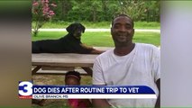 Dog Dies After Routine Trip to Vet in Mississippi
