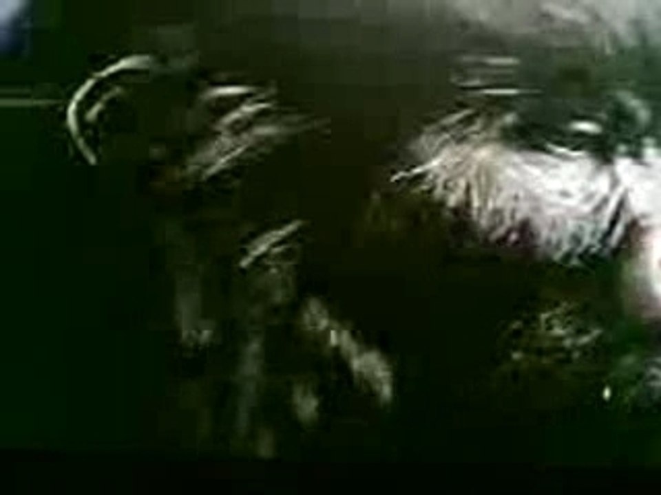 Monkey