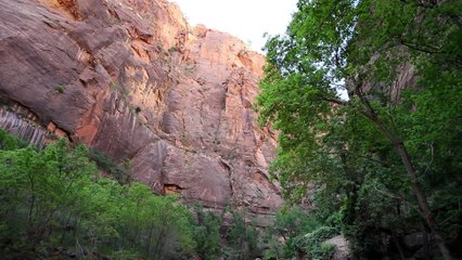 Zion National Park, Utah featuring Tim Bowman