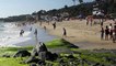 Laguna Beach, California featuring Marc Antoine