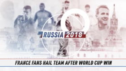 Fan Colour - France fans hail team after World Cup win