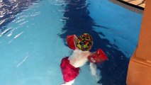 Büyük havuz denemem macera dolu Muhammet Emin eğlenceli çocuk videosu