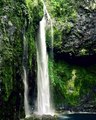 Whoever said 'don't go chasing waterfalls', clearly never visited Nabalasere!   This natural wonder on Viti Levu will have you falling in love!