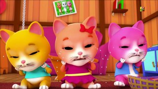 tres pequeños gatitos | gatitos rimas para niños | Three Little Kittens