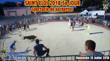 ST ELOI 2018 vachettes 15Juill2018 trets