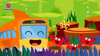 Shark Bus | The shark bus goes round and round | Bus Songs | Pinkfong Songs for Children