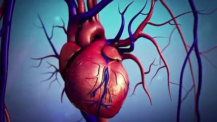 Before You Take Any Vitamins, Check These Vital Rules