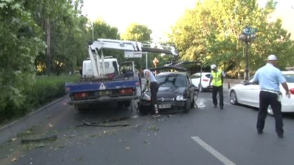 Kontrolden Çıkan Ağaç Ağacı Devirerek Durdu