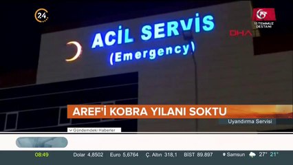 Aref'i kobra yılanı soktu