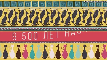 ЧТО, ЕСЛИ ты КОТ