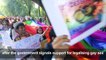 Pride parade in India as court considers decriminalising gay sex