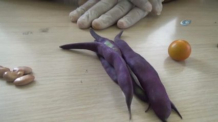 İnsanları 175 Yıl Yaşatabileceğini İddia Etti