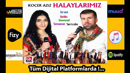 Koçer aziz nedi halay gowend