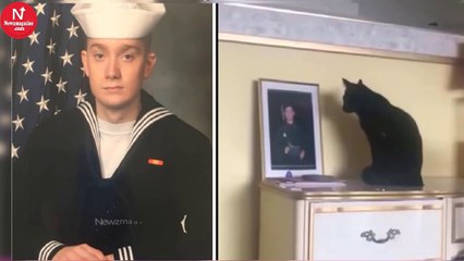 Black Cat Won’t Stop Staring At Photo Of Navy Son Until Mom Pieces Together Truth She Missed