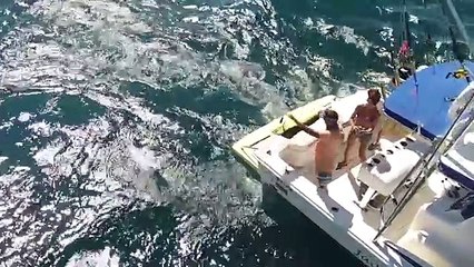 BEST FISHING in Costa Rica!