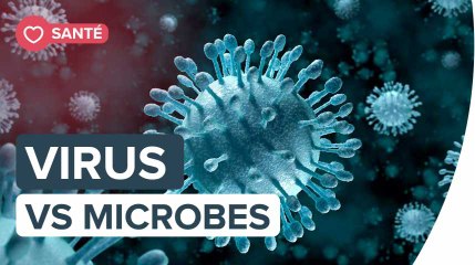Quelles sont les différences entre bactéries et virus ?