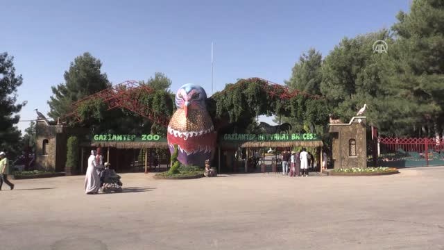 Hayvanat Bahçesi'nde Yavru Sevinci