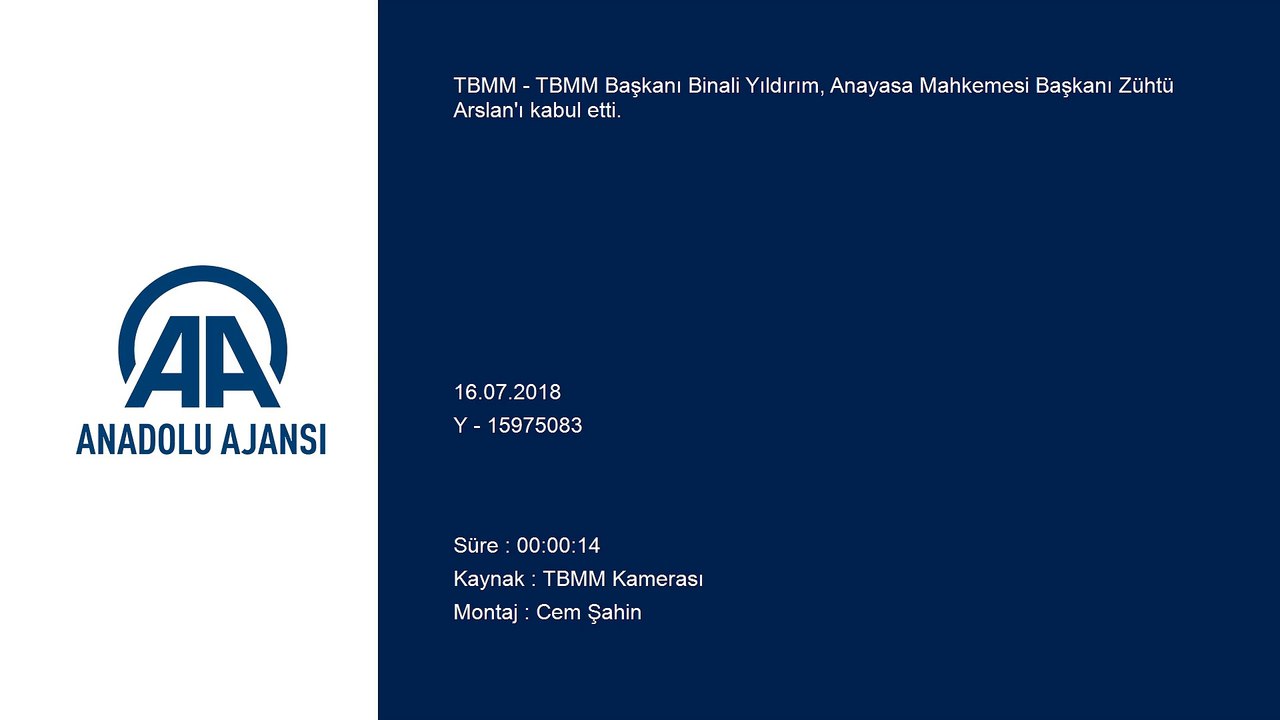 TBMM Başkanı Yıldırım, Anayasa Mahkemesi Başkanı Arslan'ı kabul etti - TBMM