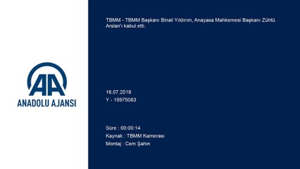 TBMM Başkanı Yıldırım, Anayasa Mahkemesi Başkanı Arslan'ı kabul etti - TBMM