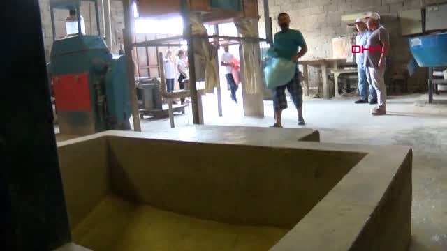 Zonguldak Sanal Tarla Oyunları Yerine Gerçek Tarlada Buğday Ekip Ekmek Yaptılar Hd