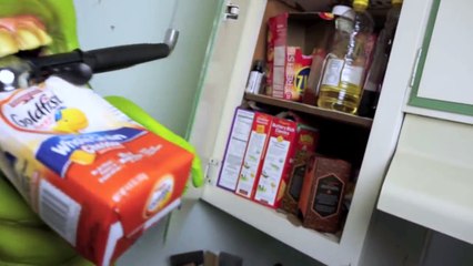 Funny Dogs vs Slimer Prank: Funny Dogs Maymo & Potpie