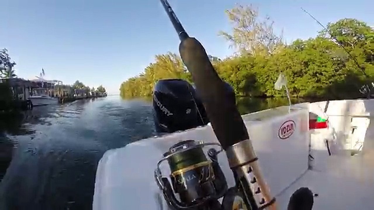 FISHING with Luiza FLORIDA KEYS trip teaser