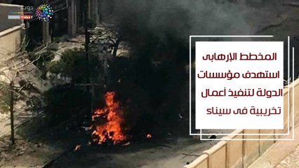 شاهد فى دقيقة.. قصة خلية إرهابية خططت لتخريب البلاد بذكرى فض رابعة