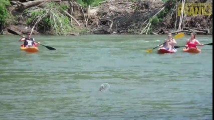 Remote Controlled Alligator - PRANK VIDEO