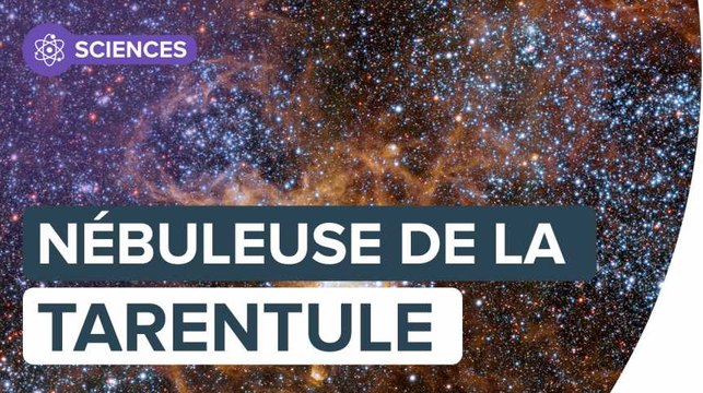 La nébuleuse de la Tarentule dévoile son cortège d’astres et de nuages