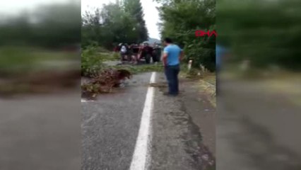 Bartın'da Rüzgar Ağaçları Devirdi