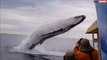 Une baleine saute hors de l'eau à quelques mètres des touristes... Magique