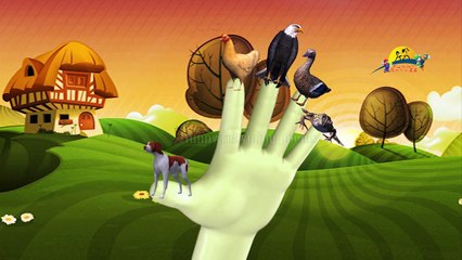 Finger Family 3d Animals collection Nursery Children rhyme | Eagle Duck Dog Frog Hen