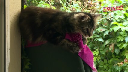 Mag s'tape l'incruste chez Julia Morgante : dans la peau de Britney Spears, son idole