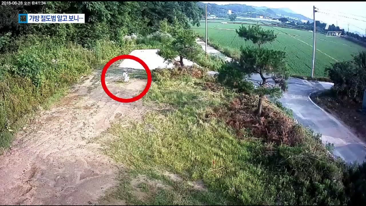 가방 절도범 찾아라…CCTV에 찍힌 의외의 범인?