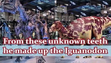 Dinosauri smascherati in 3 minuti