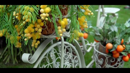 Selçuk Ural - Dilara