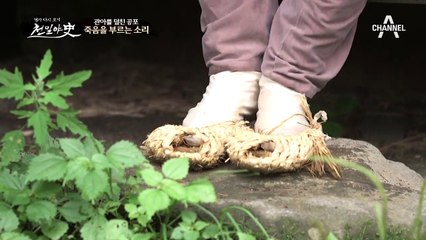 관아를 덮친 공포, 죽음을 부르는 소리의 실체는?!