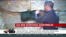 İlk kez dünyaya gösterildi