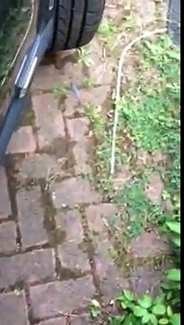 BMW E36 E34 E30 M50 HAVA AKIŞMETRE SORUNU NASIL ANLAŞILIR