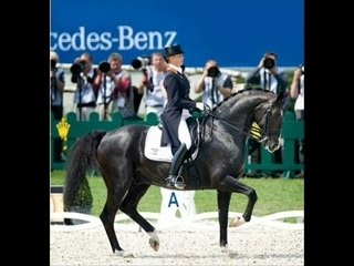 Bits - why they are necessary