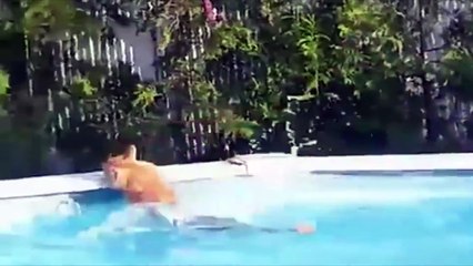 Funny Compilation of Cats Hate Water