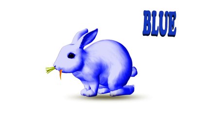 Learn Colors with Colorful RABIT Xylophone Funny Animals Colors Videos for Kids | Raibow Animals